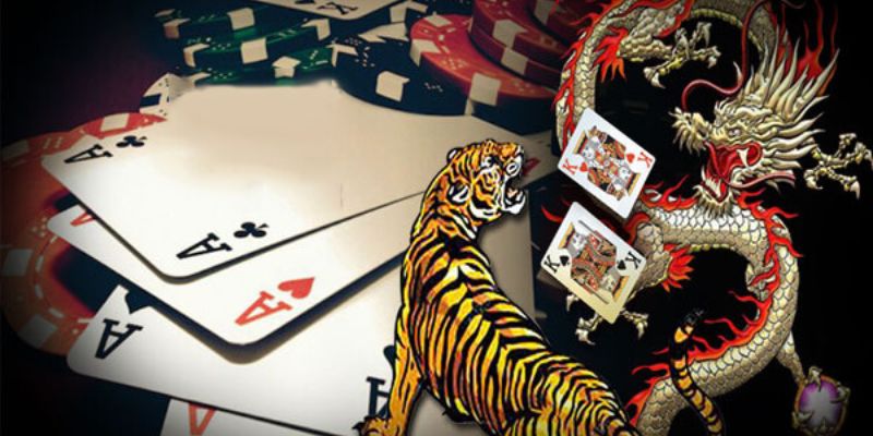 Hướng Dẫn Chi Tiết Cách Chơi Rồng Hổ Hi88 Cơ Bản Cho Bạn 3 Những mẹo chơi Rồng Hổ hay tại Hi88